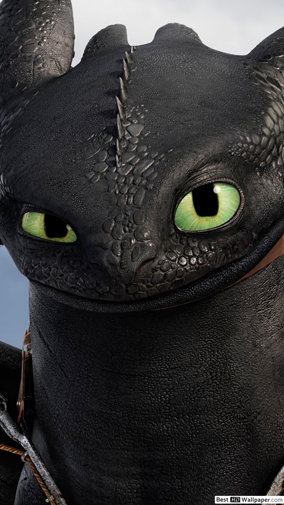 Train Your Dragon Black Dragon 1080x1920 Wallpaper teahub.io