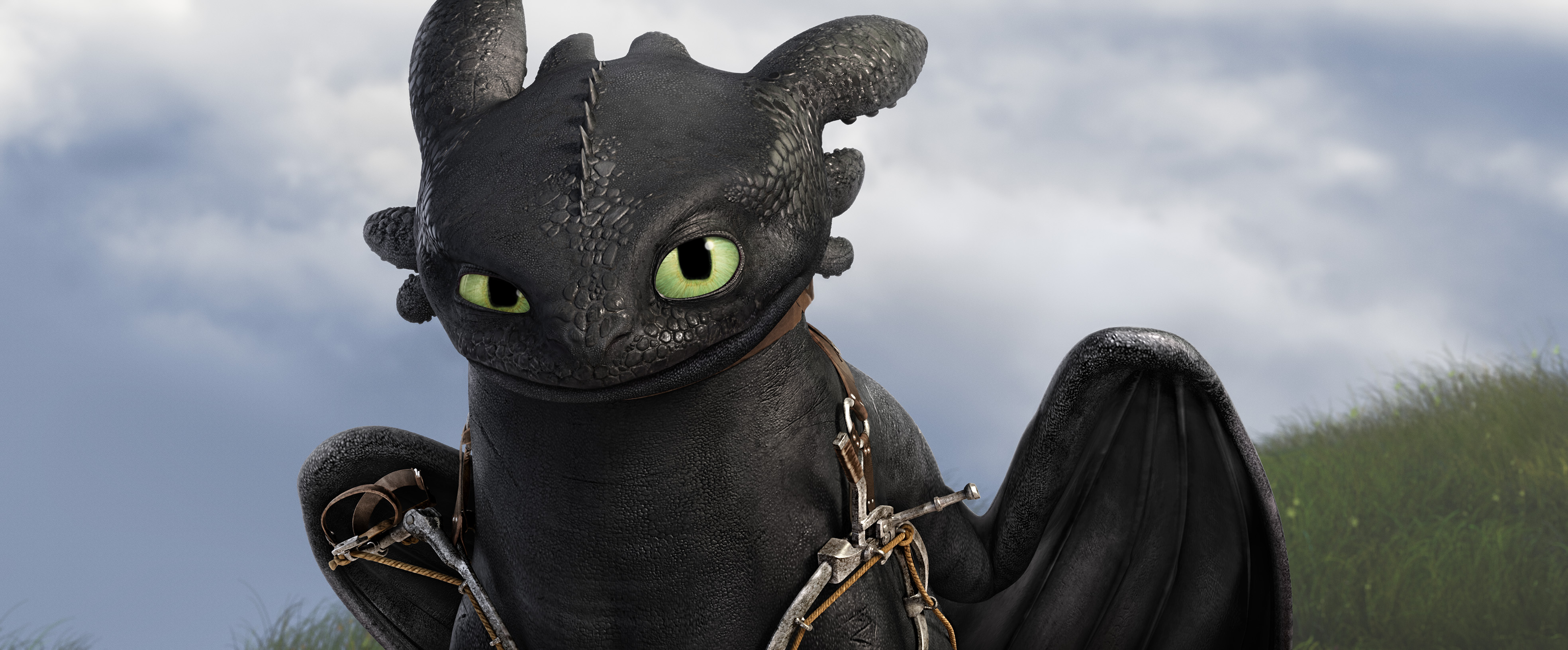 Train Your Dragon - HD Wallpaper 