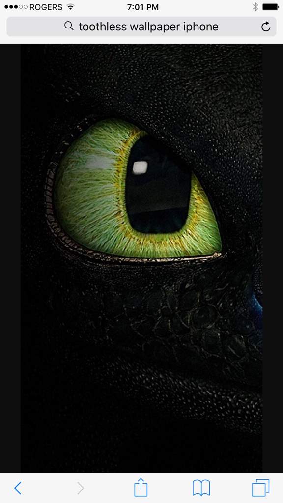 User Uploaded Image - Macro Photography - HD Wallpaper 