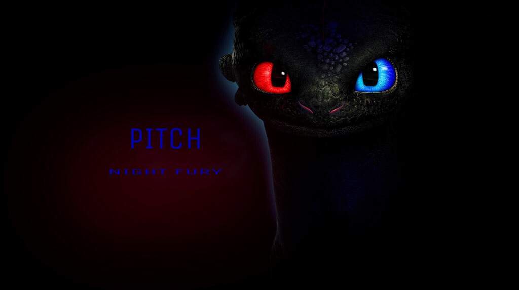 User Uploaded Image - Black Cat - HD Wallpaper 