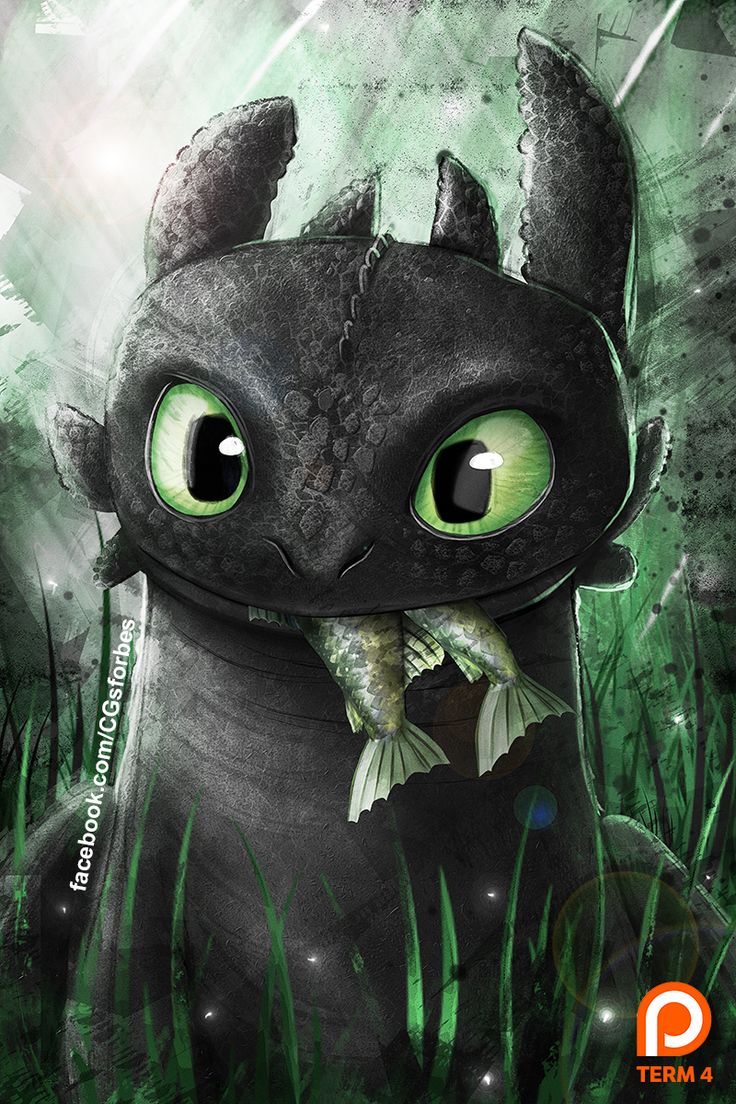 Toothless Hd Wallpapers, Desktop Wallpaper - Desdentado Dragon - HD Wallpaper 