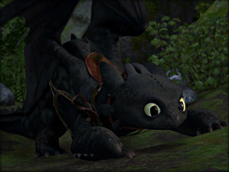 ★ Toothless ☆ - Toothless Dragon Playing - HD Wallpaper 