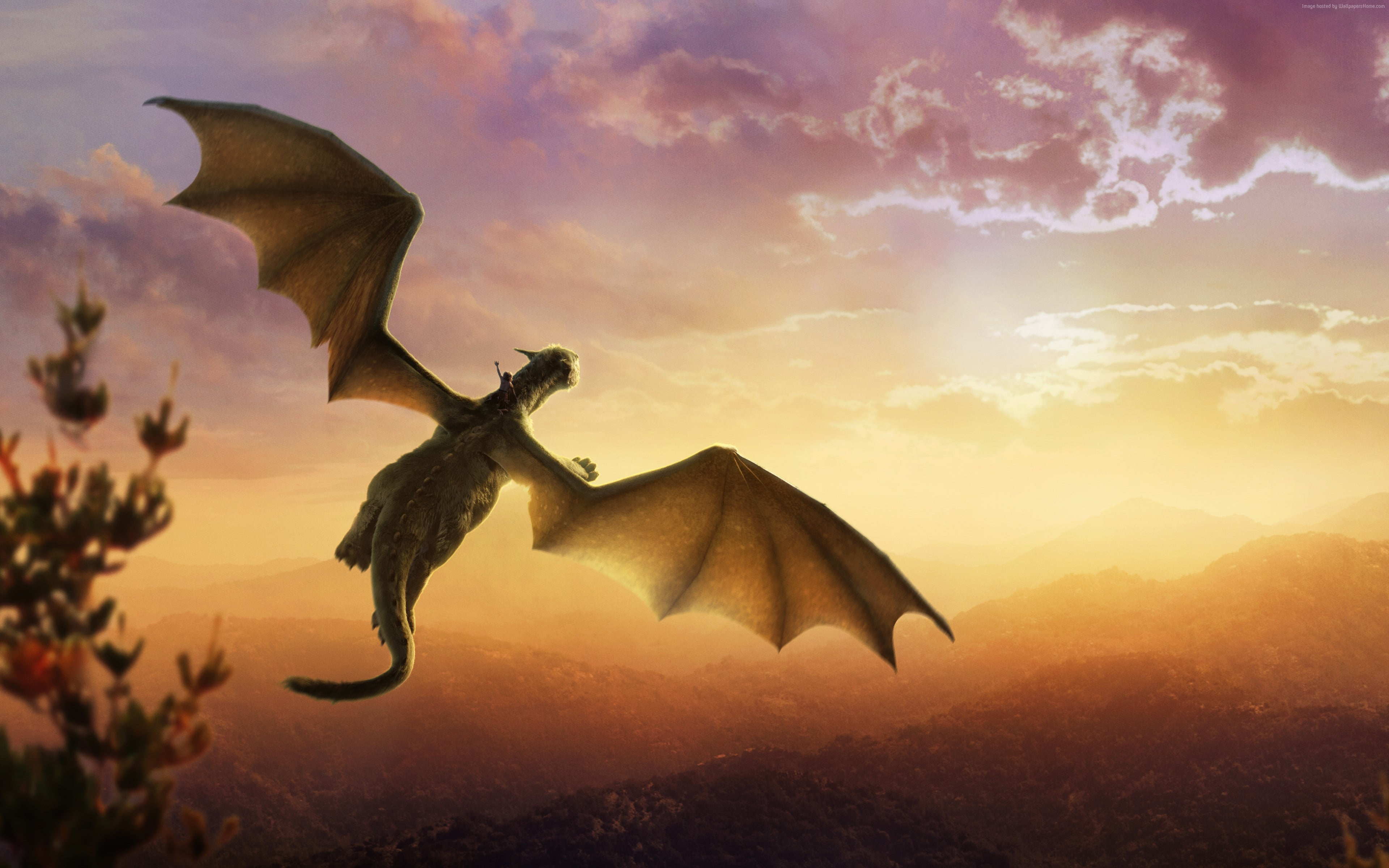 Pete S Dragon Elliot Flying 3840x2400 Wallpaper Teahub Io
