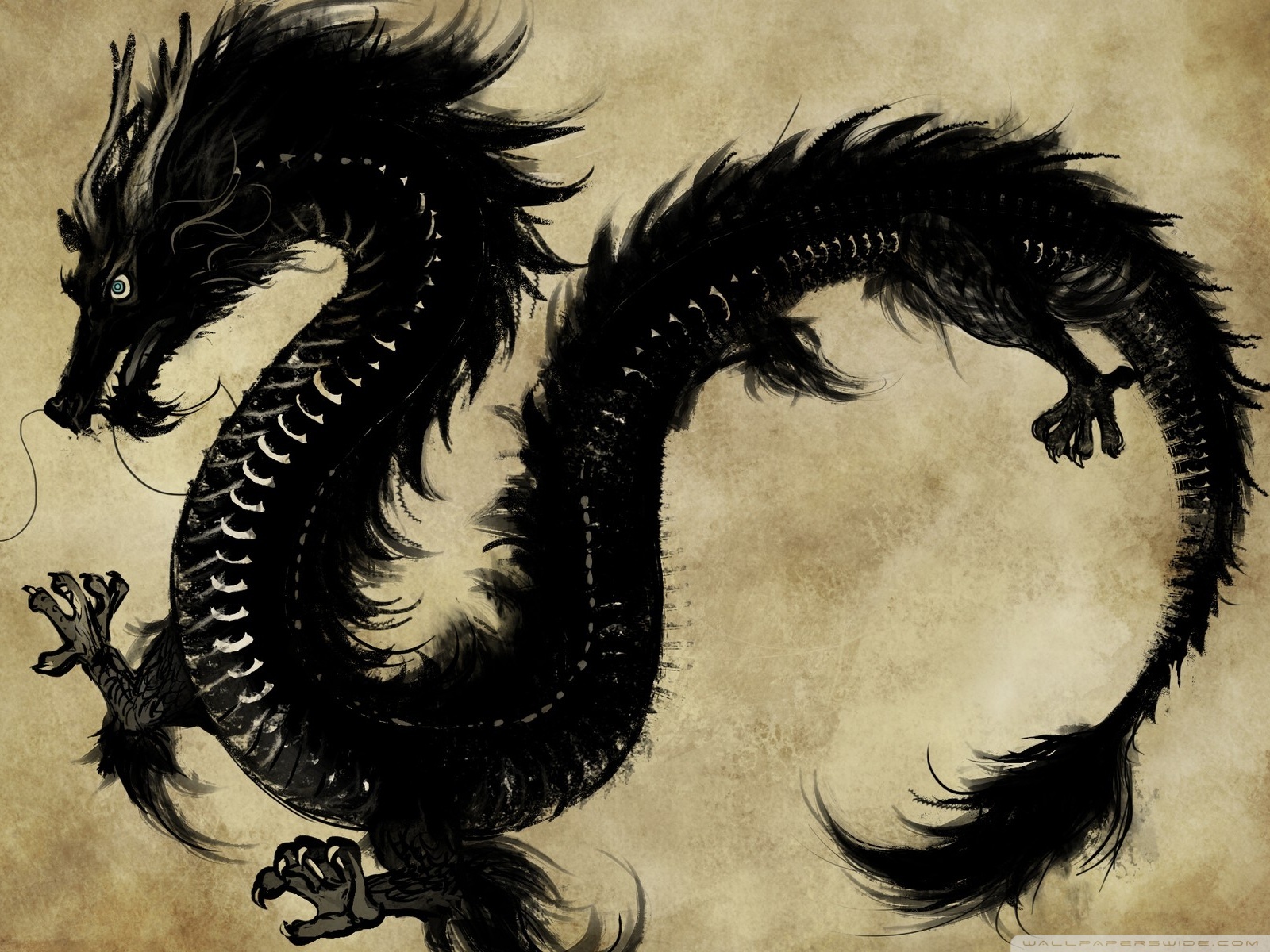 Chinese Dragon Art - HD Wallpaper 