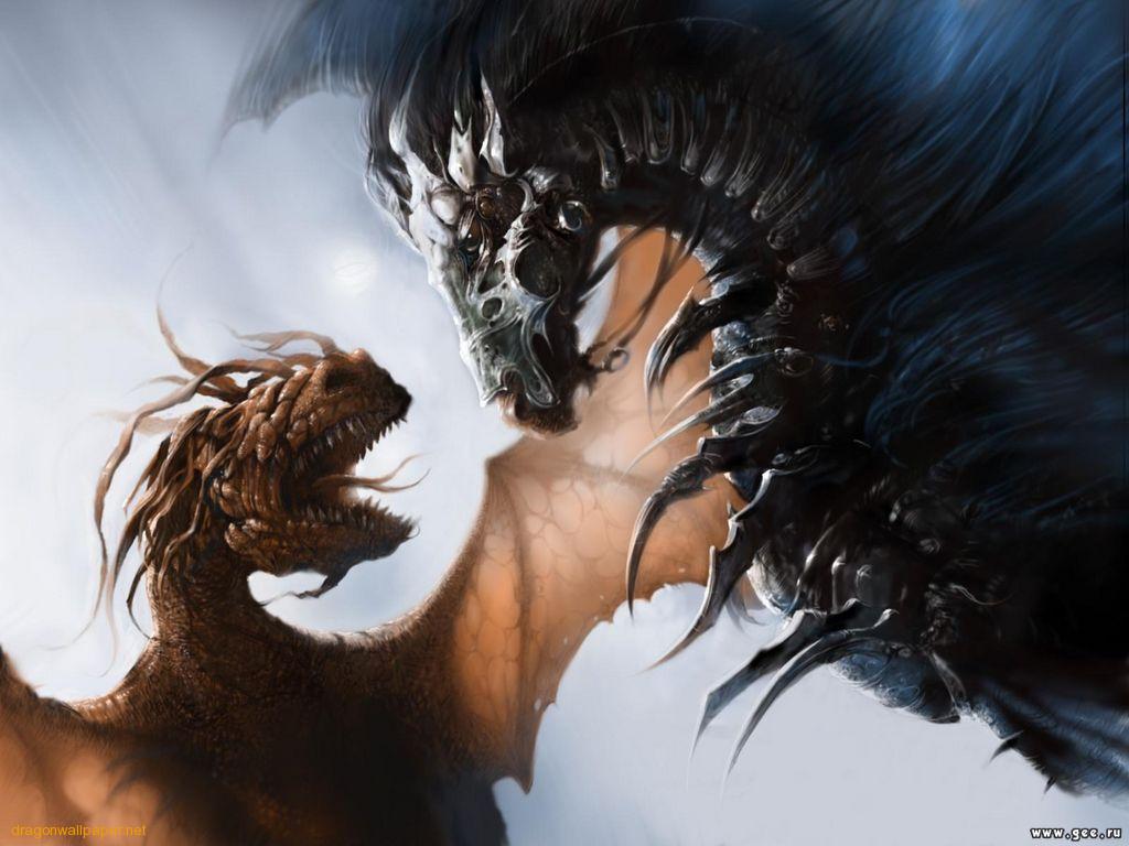 Dragons Fighting - HD Wallpaper 