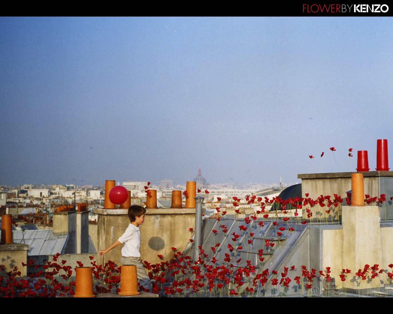 Wallpaper5 - Flower By Kenzo Pub - HD Wallpaper 