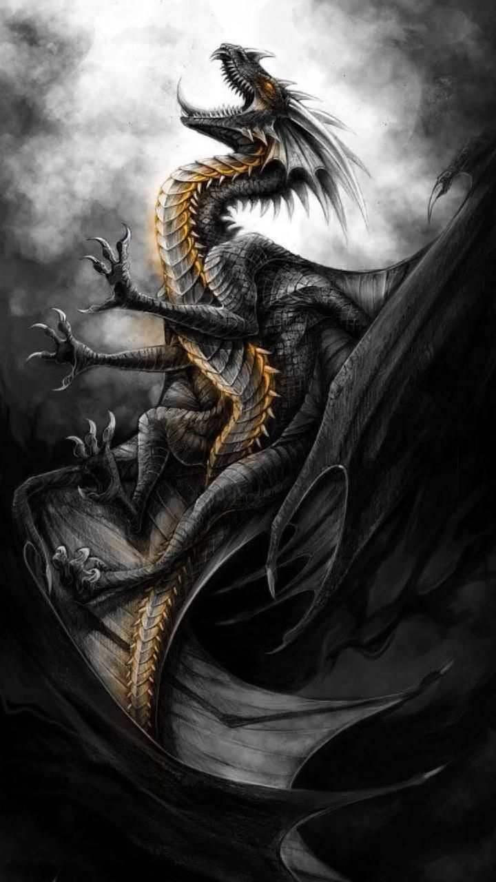 Free Download Fire Wallpaper Free Download Fire Dragon - Young Black Dragon Art - HD Wallpaper 