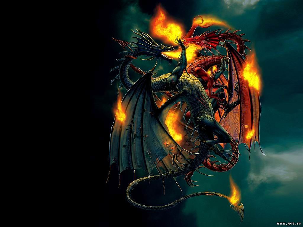 Dragons Wallpapers - Dragons Fighting - HD Wallpaper 