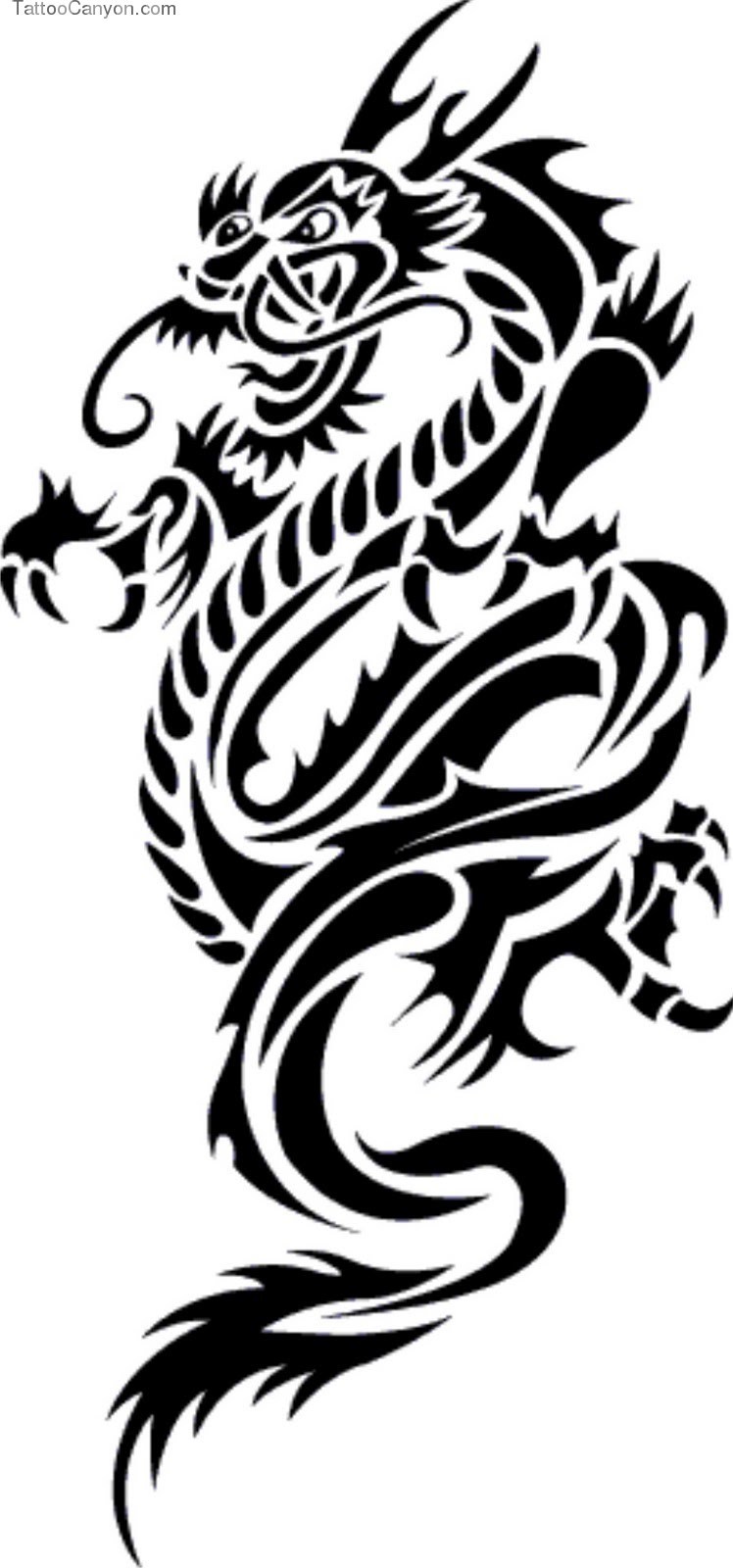 Dragon Images Free Download - New Tattoos Photos Download - 748x1600  Wallpaper 