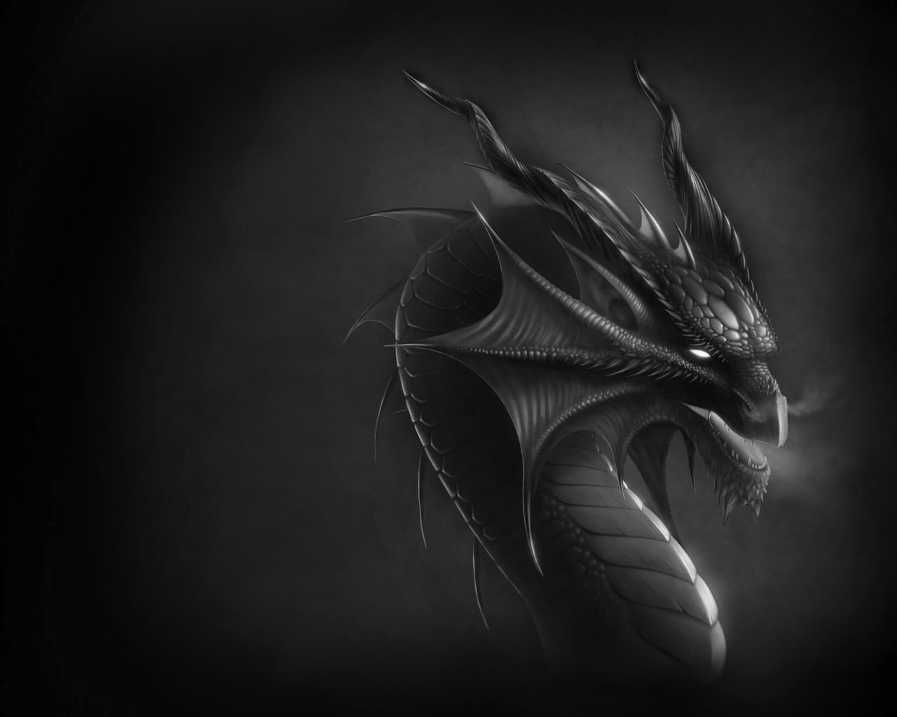 Black Dragons Wallpaper Hd - HD Wallpaper 