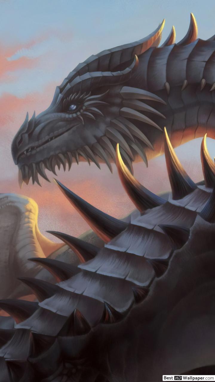 Paarthurnax Art - HD Wallpaper 