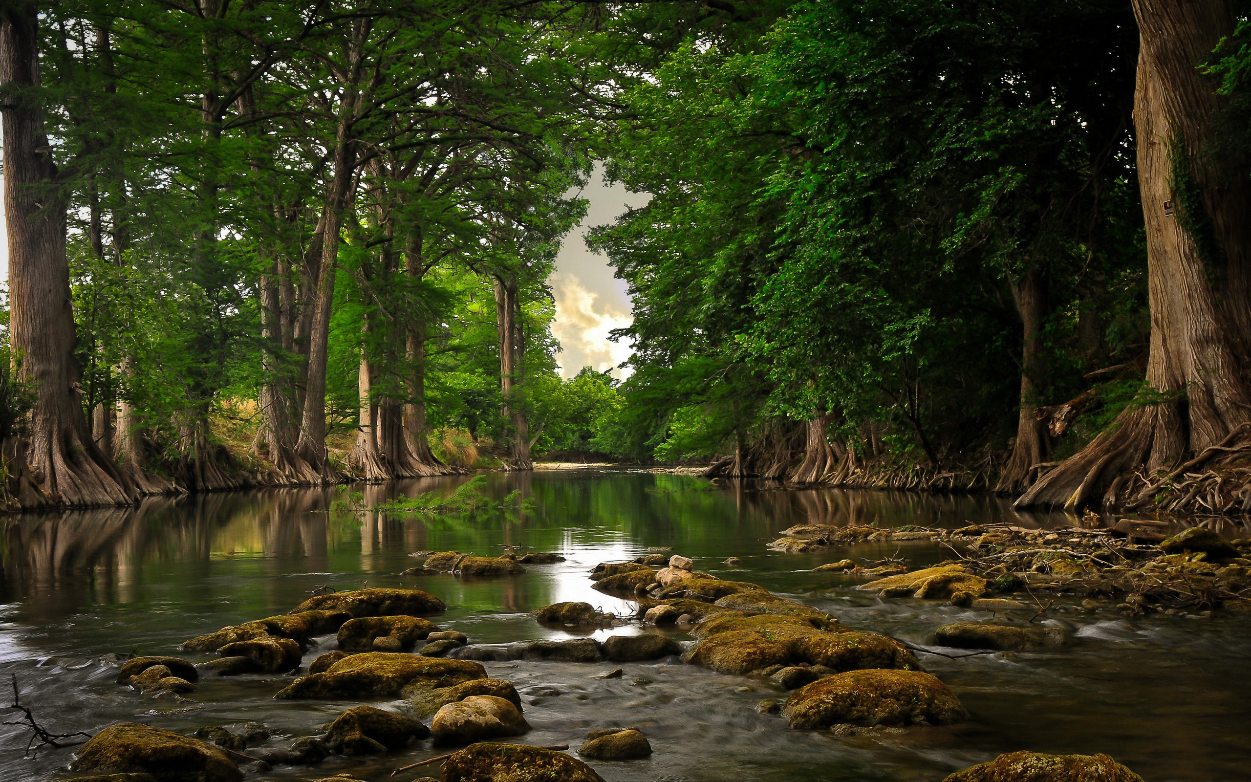 Secluded River - Forest Water - HD Wallpaper 