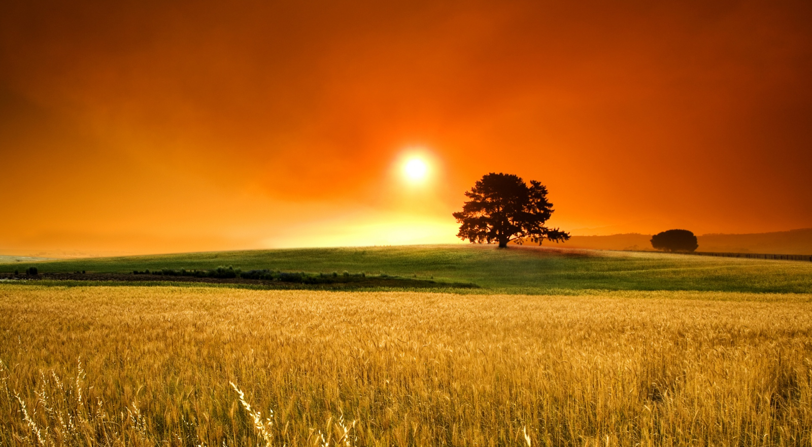 Hd Summer Sunset Desktop Wallpaper - Country Backgrounds - HD Wallpaper 
