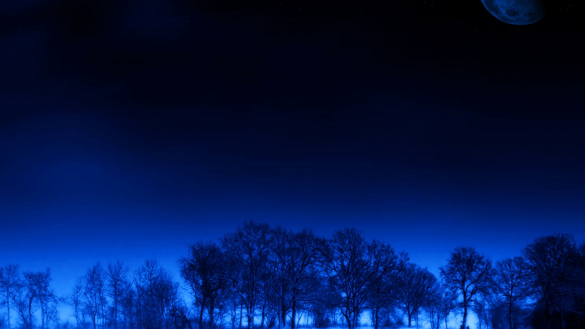 Wallpaper Night, Moon, Trees, Stars, Dream - Night - HD Wallpaper 