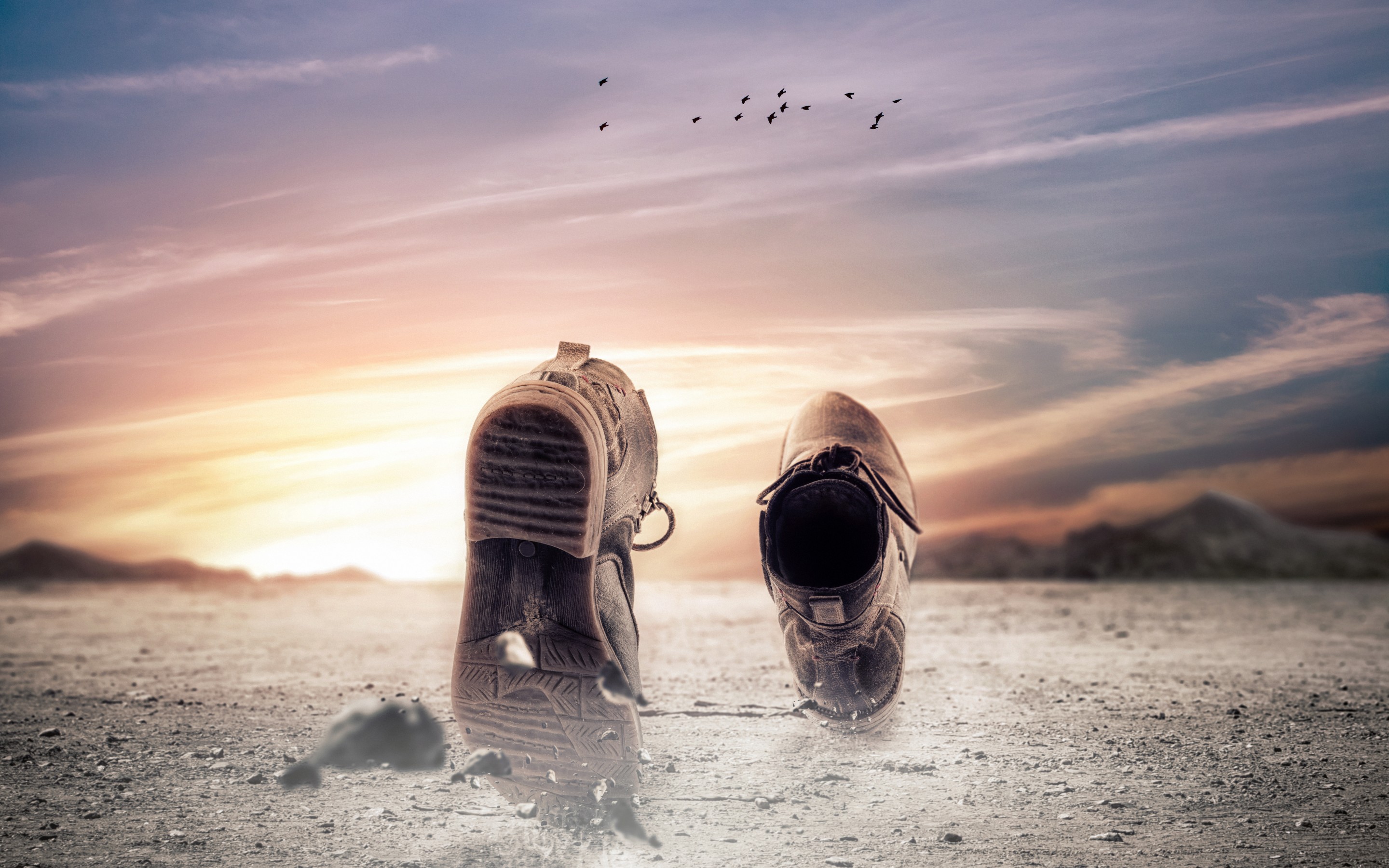 Funny Running Shoes - Running Shoe - HD Wallpaper 