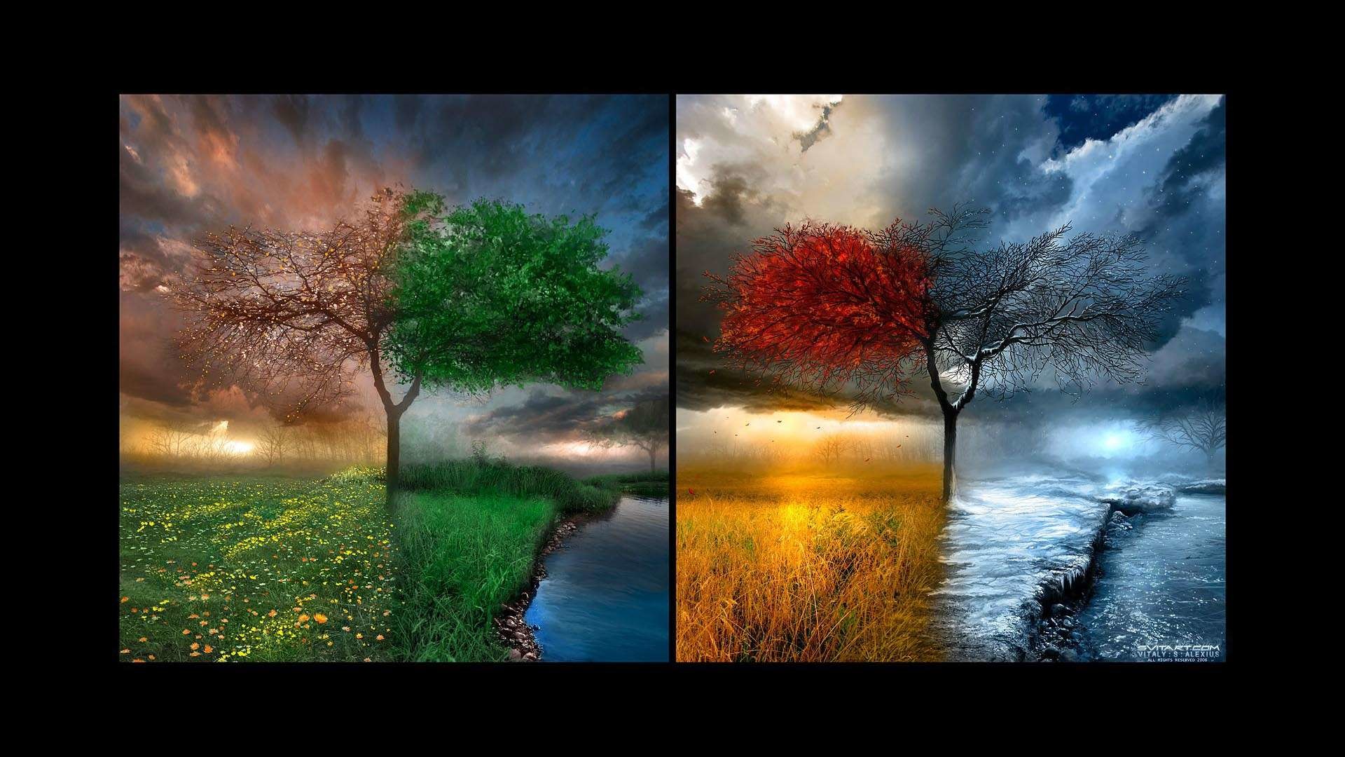 1920x1080, Four Seasons Hd Wallpaper - 4 Seasons In One - HD Wallpaper 