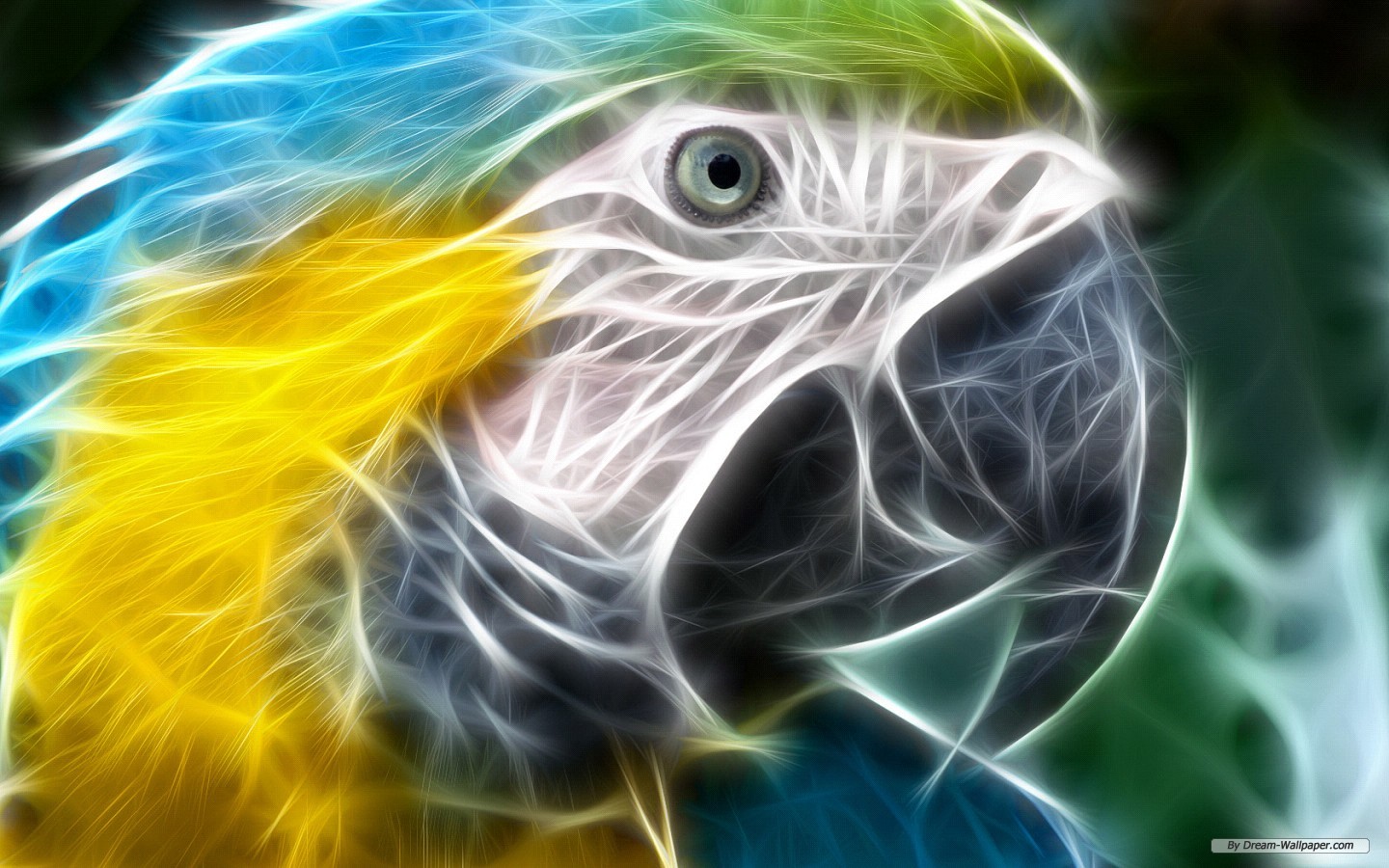 3d Animal Wallpaper Downloads - 1440x900 Wallpaper 