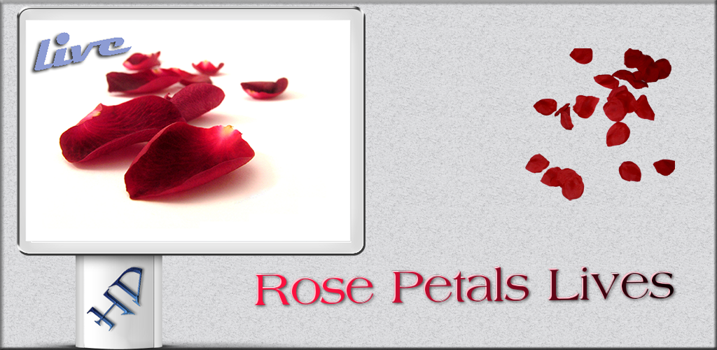 Greeting Card - HD Wallpaper 