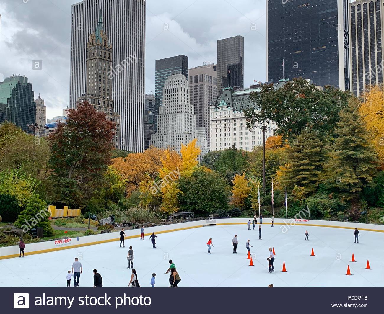 Central Park - HD Wallpaper 