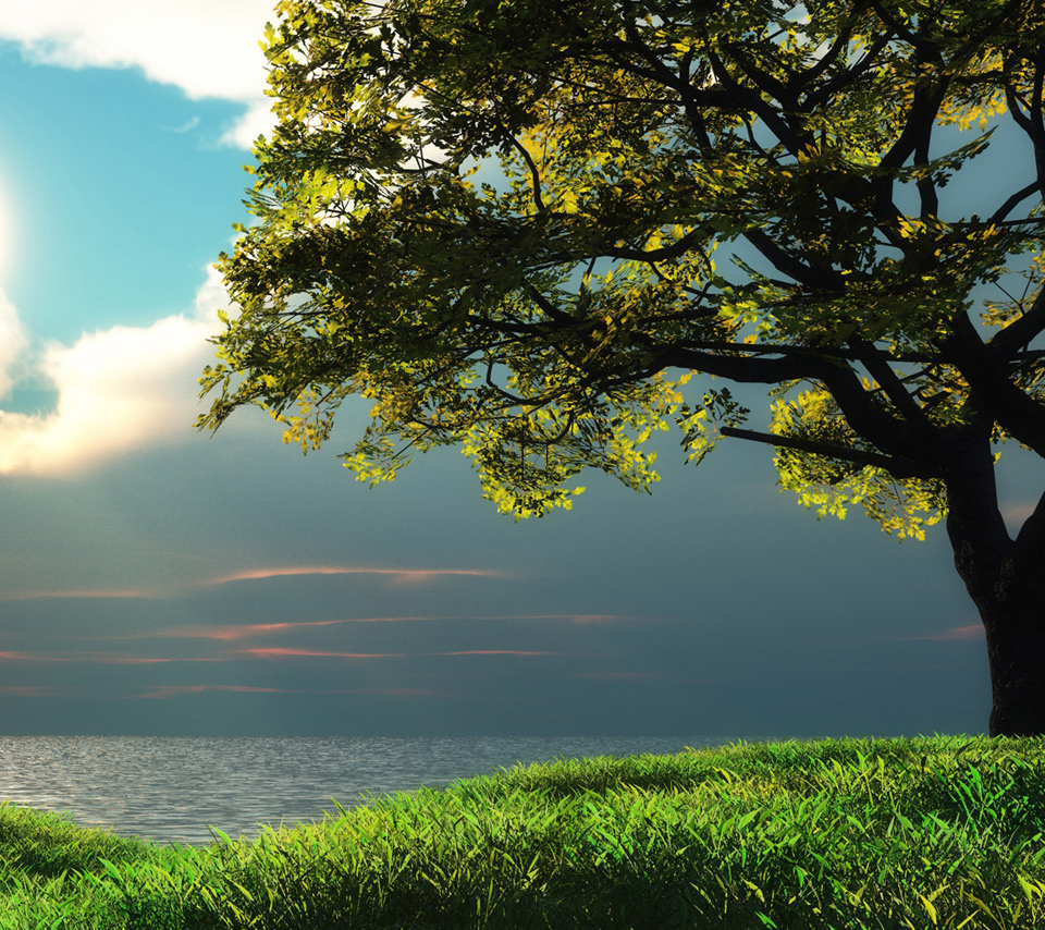 Nature Super Image Hd - HD Wallpaper 