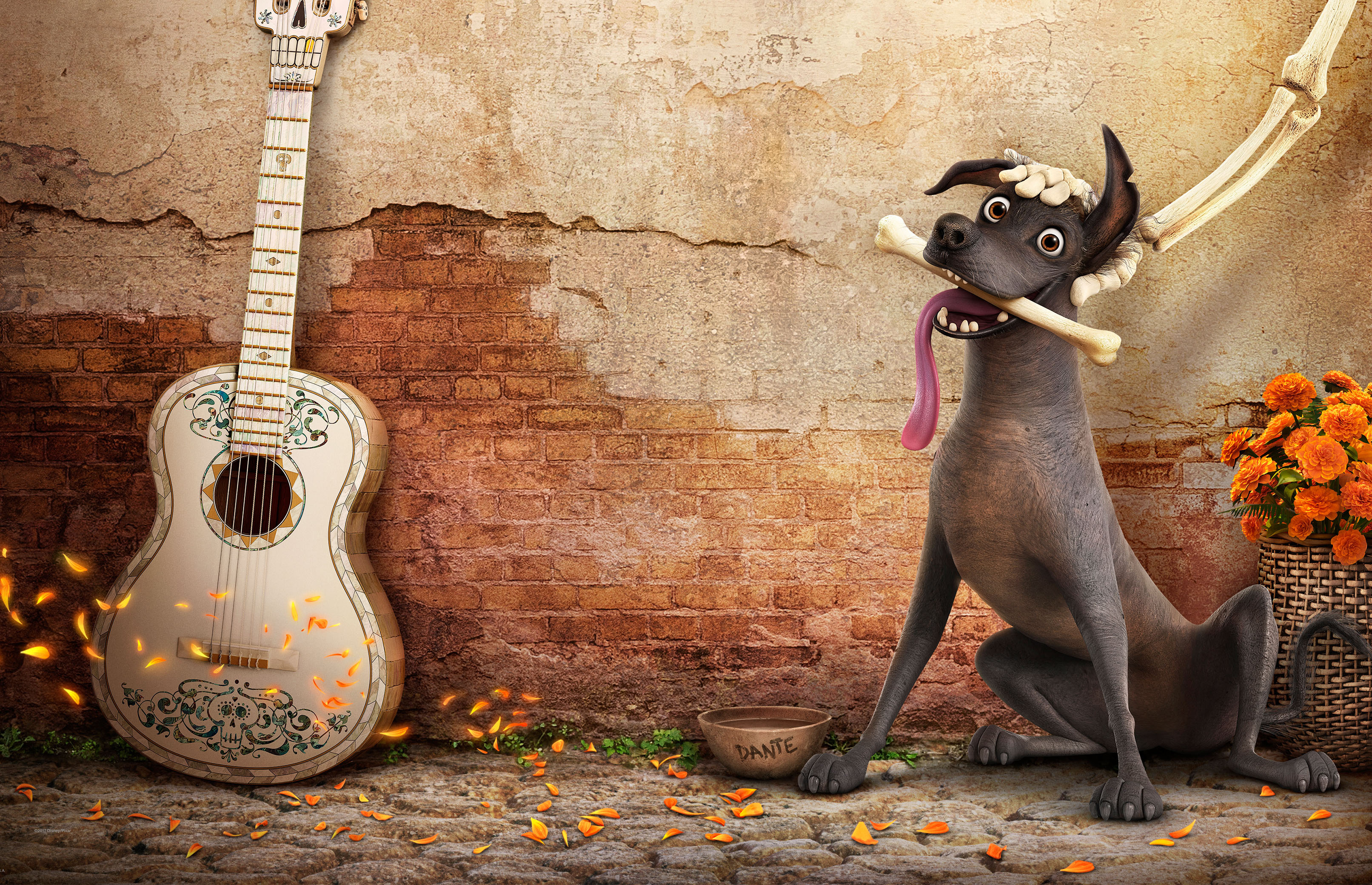 Coco Disney - HD Wallpaper 