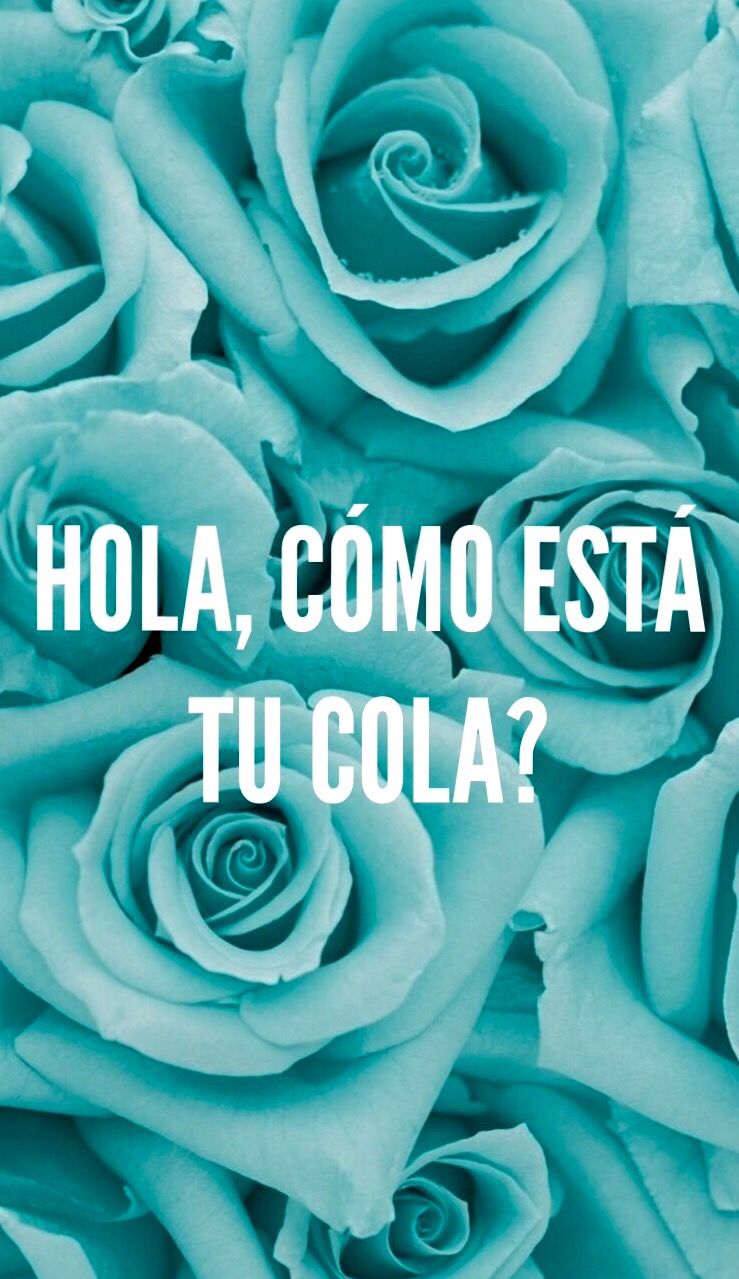 Aqua Roses - HD Wallpaper 