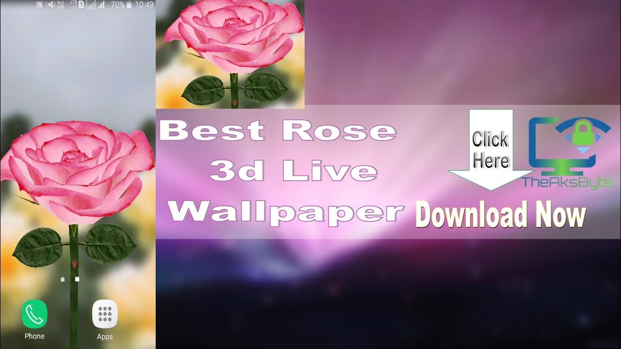 Garden Roses - HD Wallpaper 
