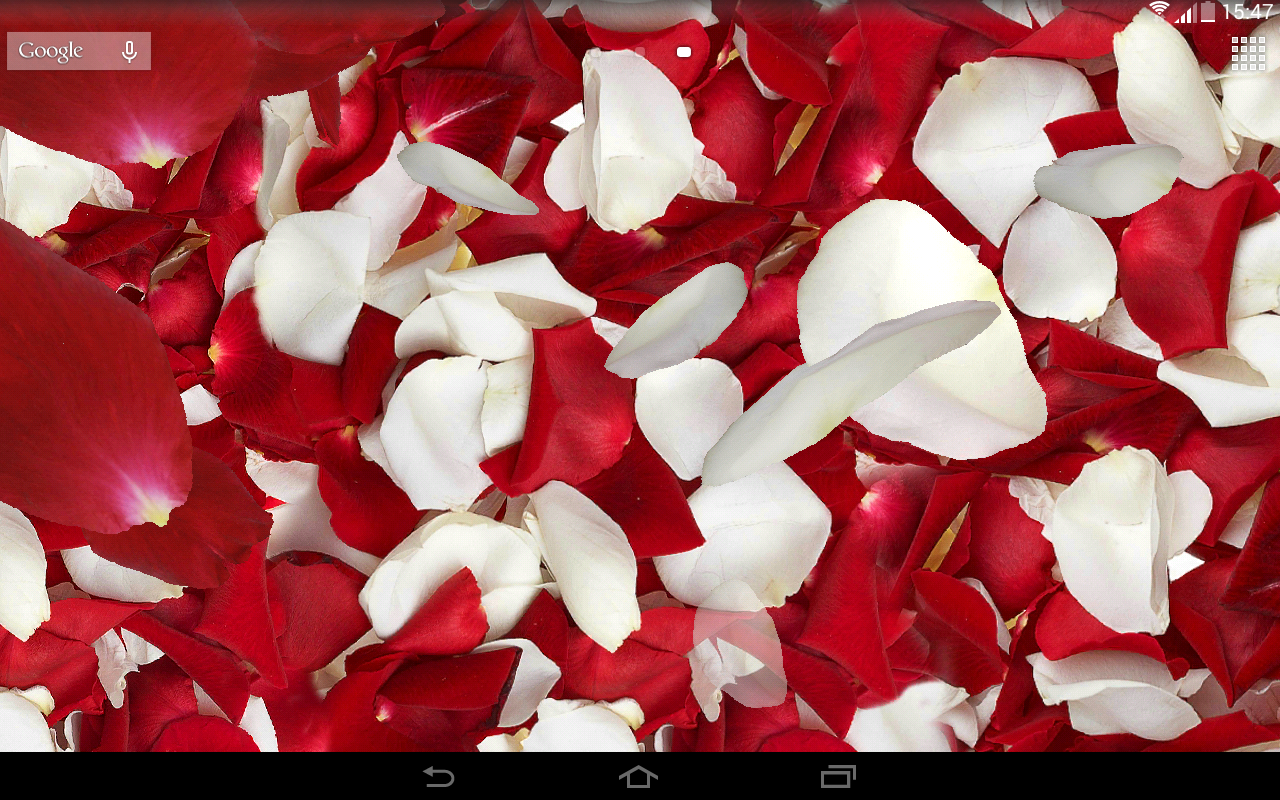 Rose Petals 3d - HD Wallpaper 