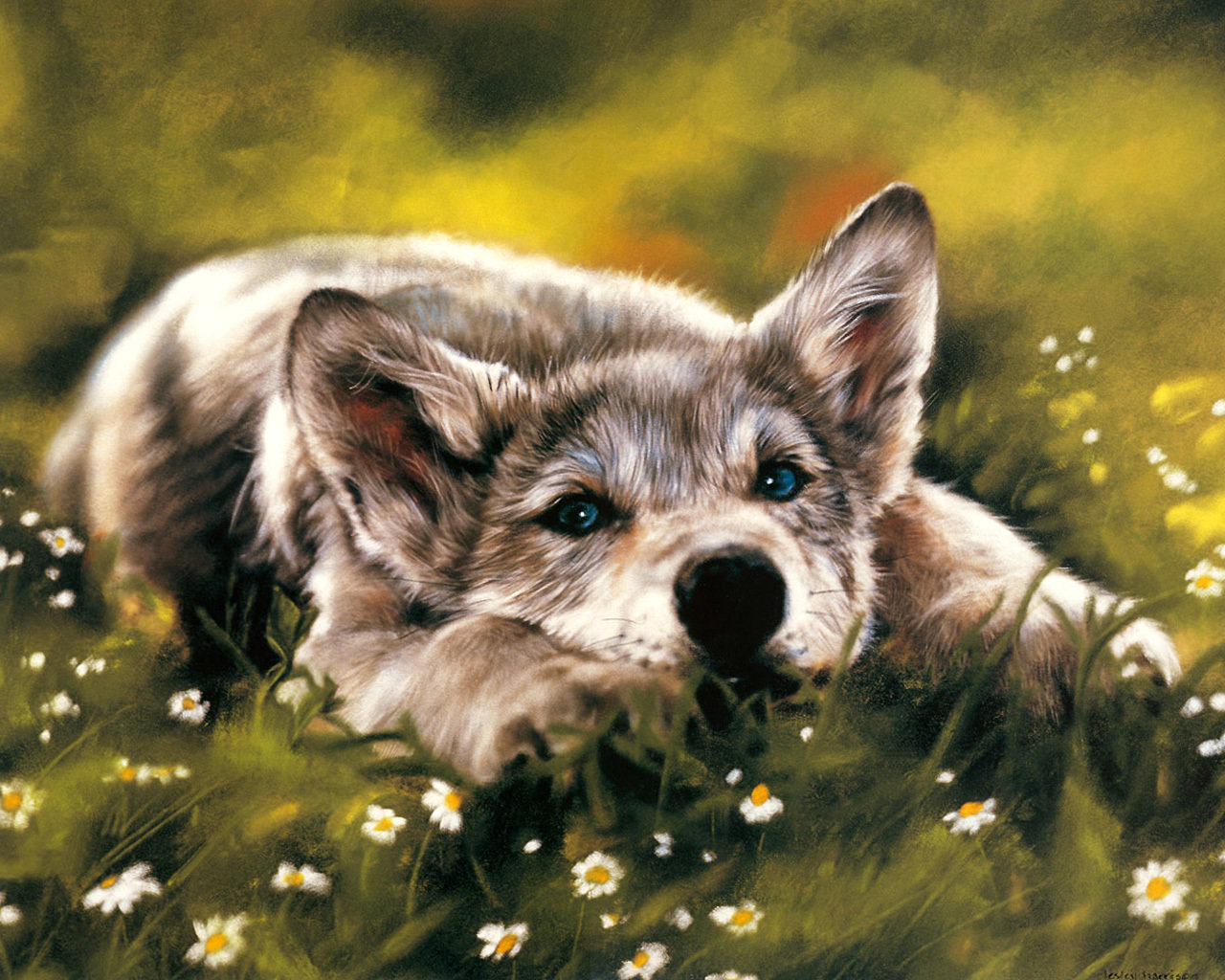Free Cool Animal High Quality Background Id - Dire Wolf Pup Art - 1280x1024  Wallpaper 