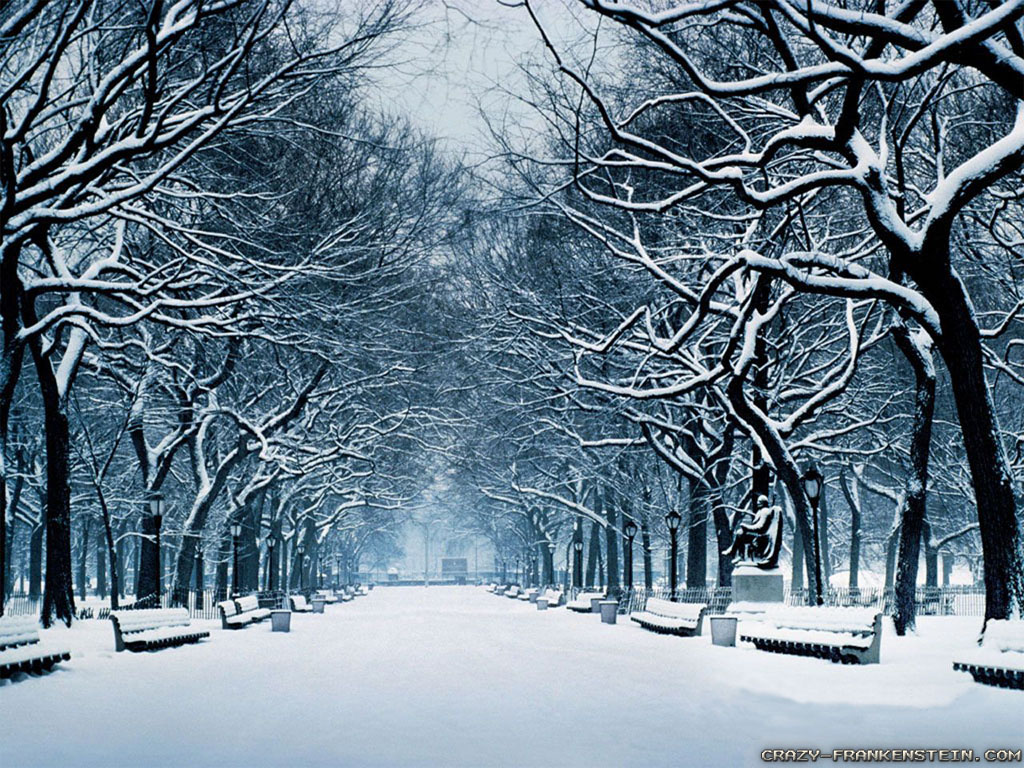Seasonal Wallpaper Winter - 1024x768 Wallpaper Seasonal Wallpaper Winter - 1024x768 Wallpaper