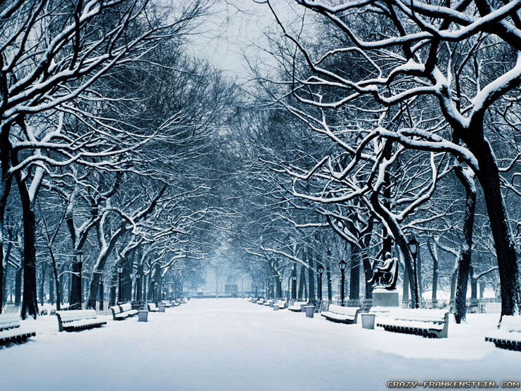 Seasonal Wallpaper Winter - HD Wallpaper 