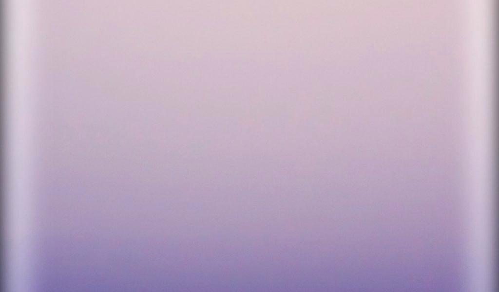 Lavender - HD Wallpaper 