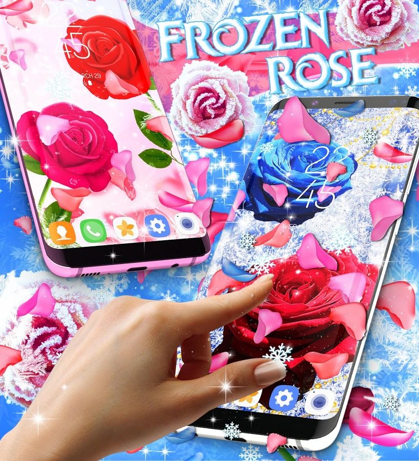 Frozen Snow Rose Live Wallpaper App Ranking And Store - Wallpaper - HD Wallpaper 