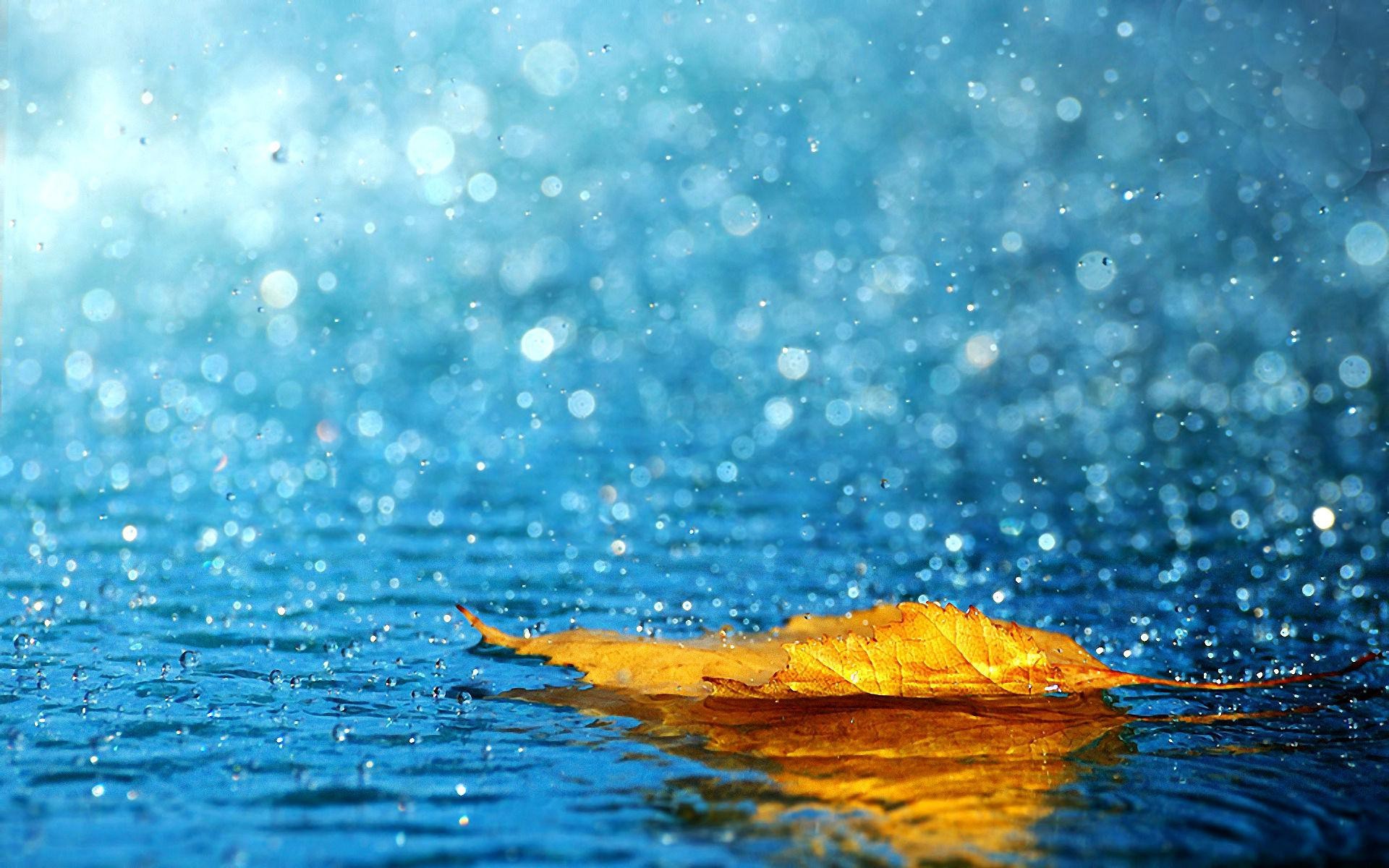 1920x1200, Hd Happy Rainy Season Wallpaper 
 Data Id - Rain Hd Image Of Nature - HD Wallpaper 