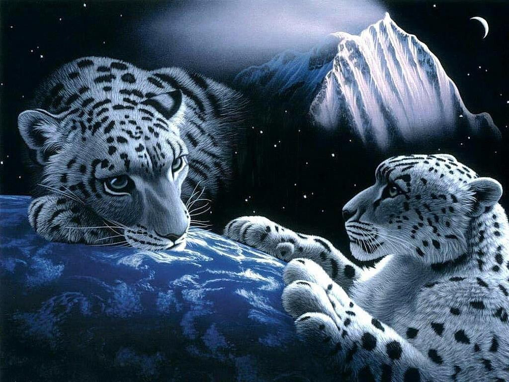3d Wallpaper Hd Animals - 3d Wallpaper Download Animals - 1024x768 Wallpaper 3d Wallpaper Hd Animals - 3d Wallpaper Download Animals - 1024x768 Wallpaper