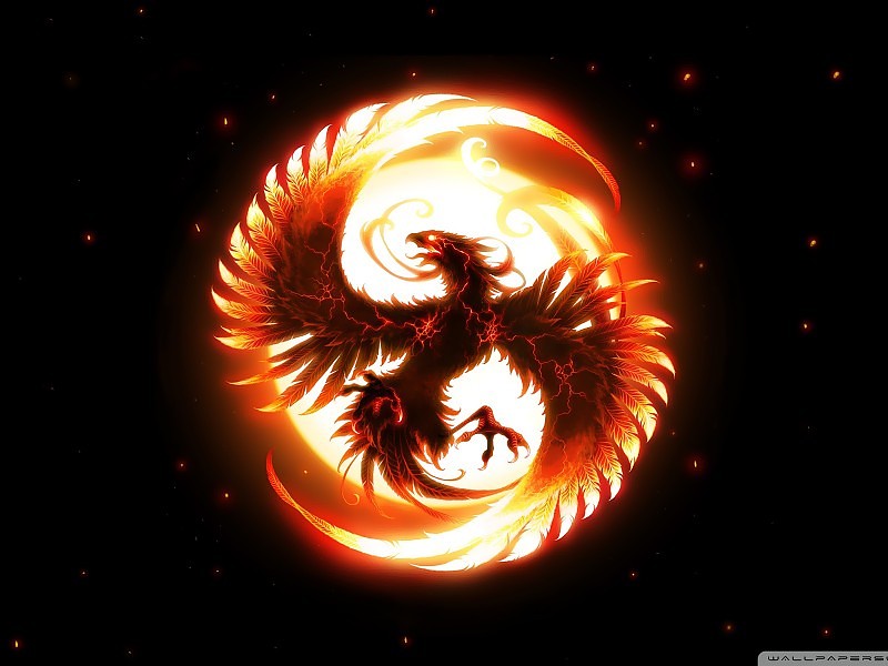 Eagle Fire Fantasy Wallpaper Hd - Phoenix Bird - HD Wallpaper 