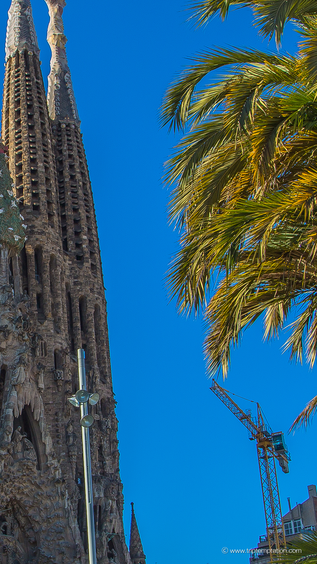 Sagrada Familia Wallpaper In Barcelona Iphone 6 Plus - Sagrada Familia ("expiatory Temple Of The Holy Family") - HD Wallpaper 