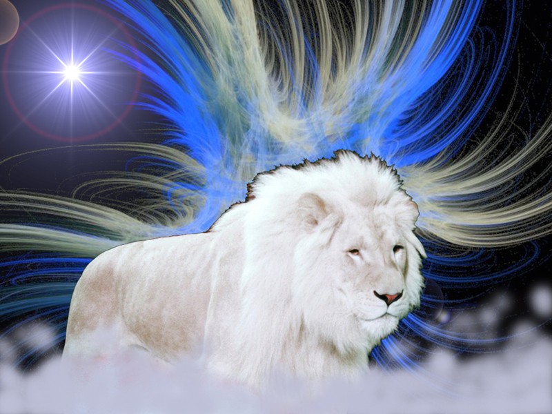 White Lion With Blue Background Logo - HD Wallpaper 