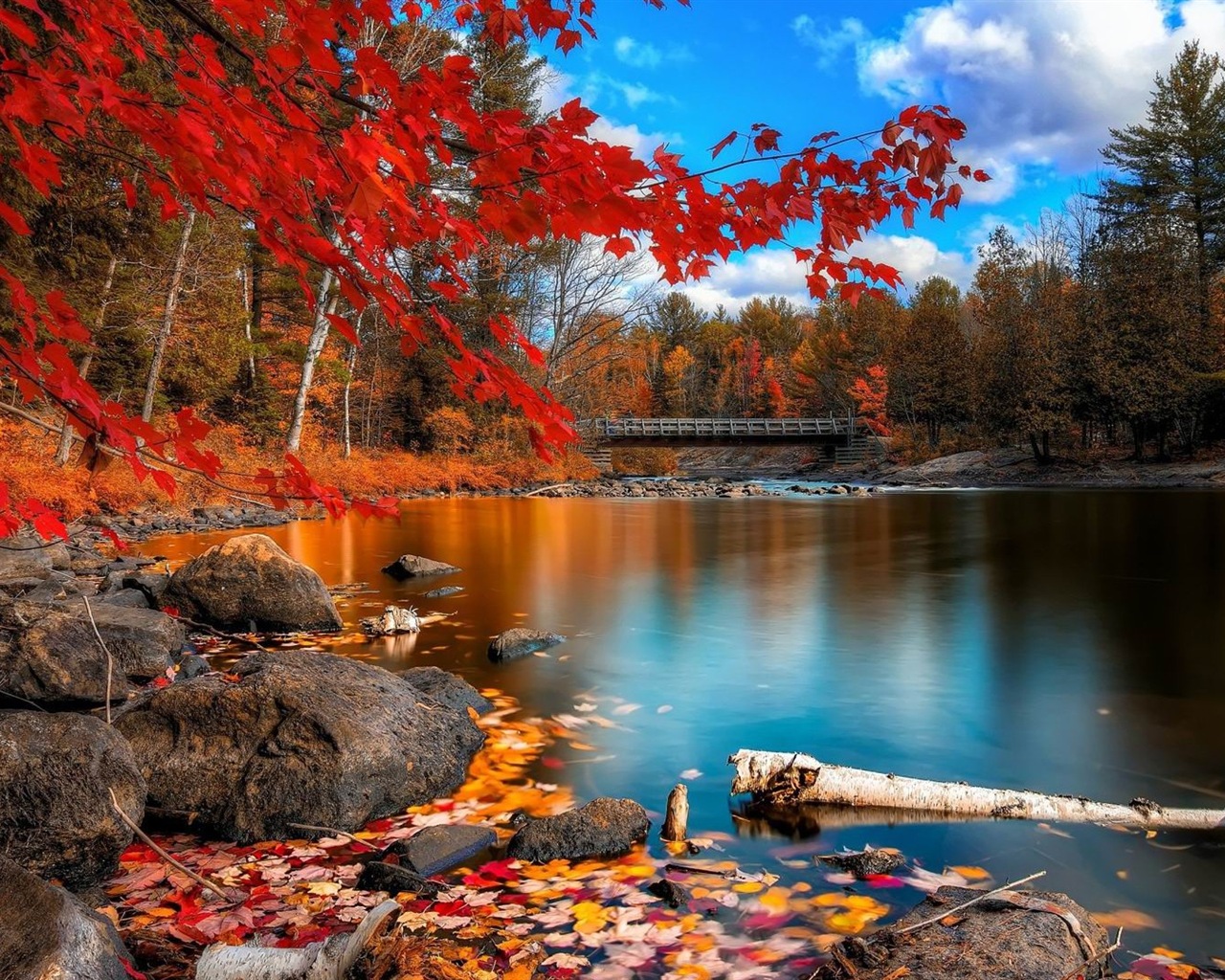 1 Theme Hd Wallpapers - Fall Backgrounds - HD Wallpaper 