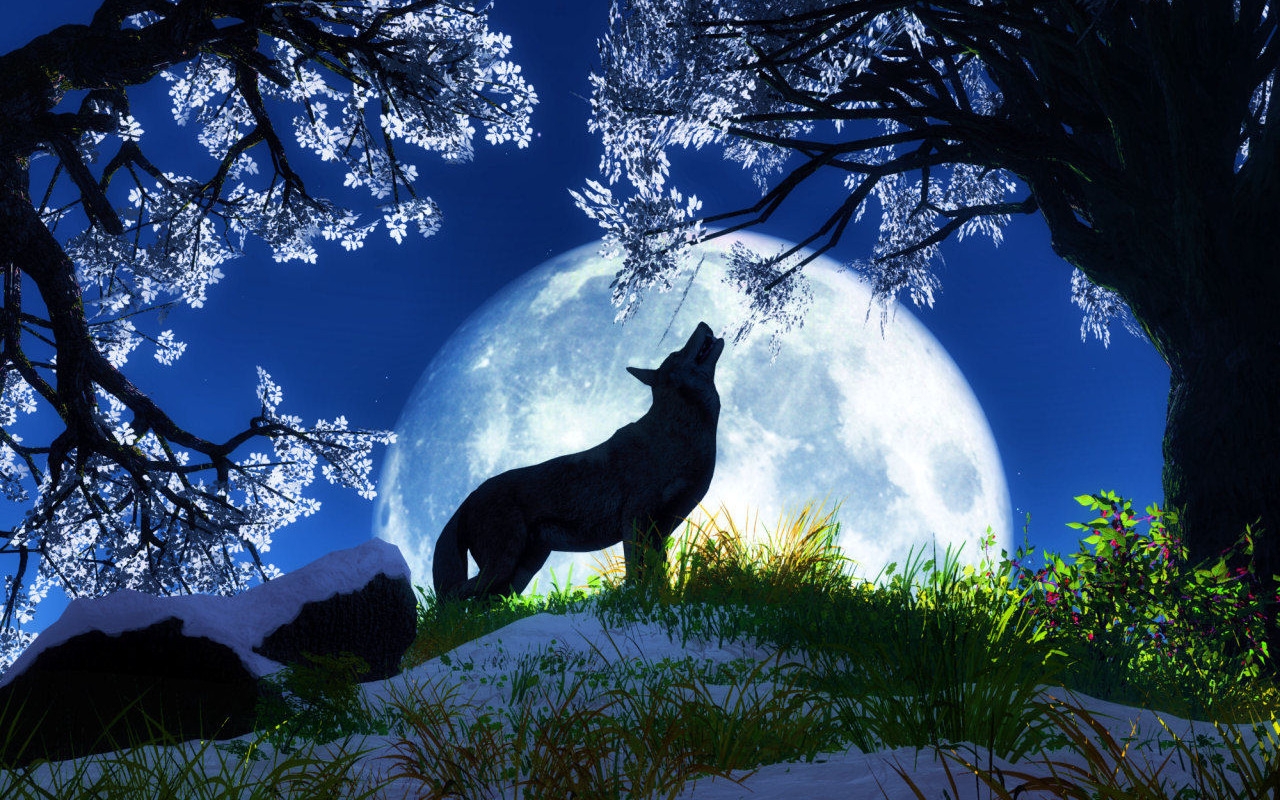 Free Animal Wallpapers Download Bird - Background Animals - 1280x800 Wallpaper Free Animal Wallpapers Download Bird - Background Animals - 1280x800 Wallpaper