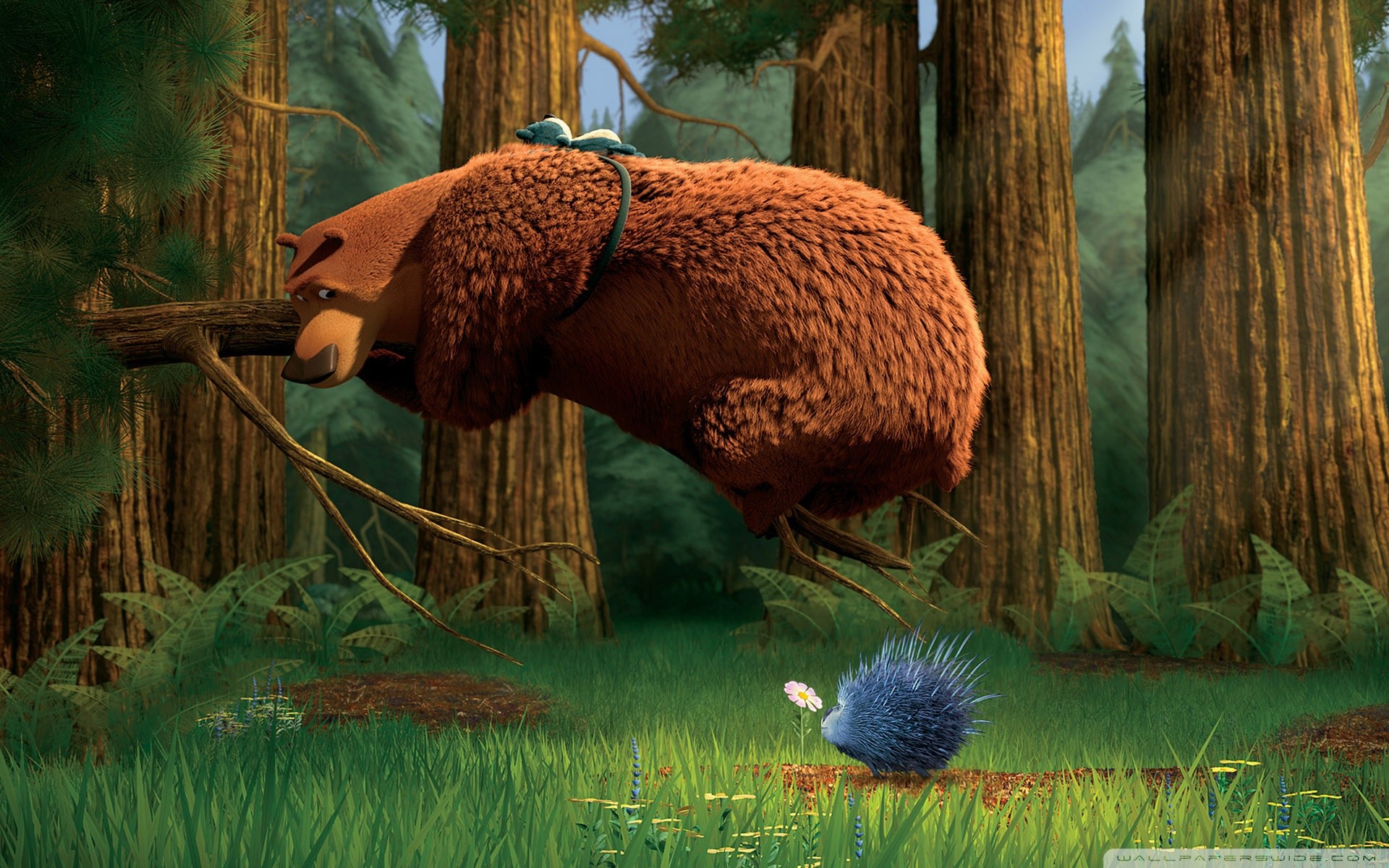 Wide 
 Data Src Open Season Wallpaper For Htc - Dessin Animé De La Foret - HD Wallpaper 