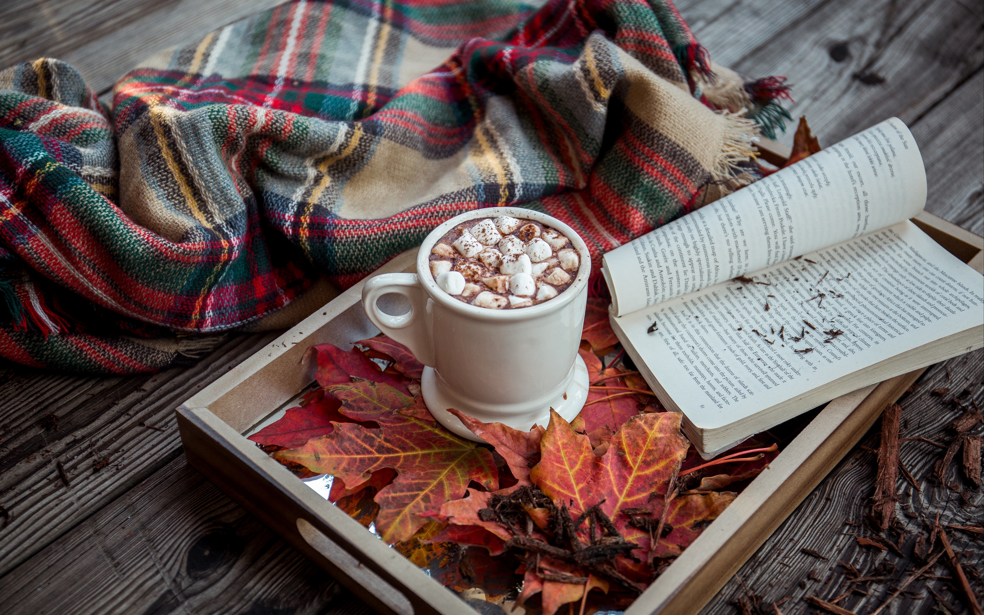 Wallpaper Cocoa, Marshmallow, Plaid, Book, Autumn - Coffee Autumn Wallpaper Hd - HD Wallpaper 