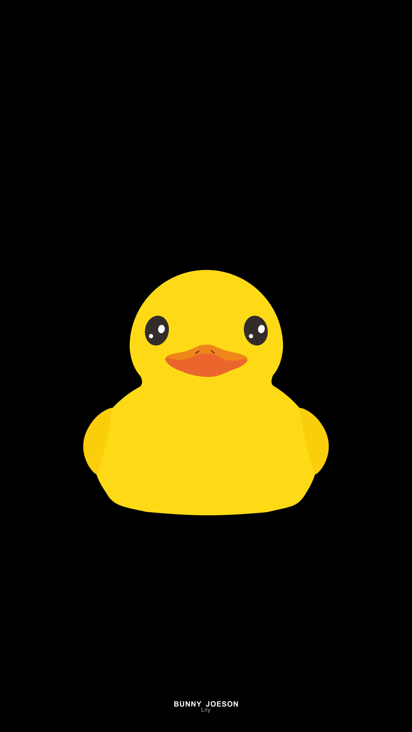 1440x2560, 
 Data Id 54280 
 Data Src /walls/full/e/b/0/54280 - Duck Wallpaper Iphone - HD Wallpaper 