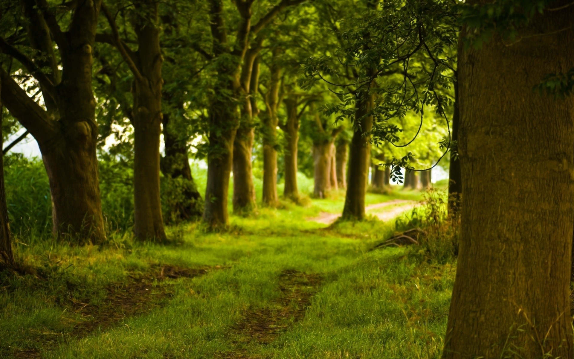 Back Road At A Farm - Back Wallpaper Hd - HD Wallpaper 