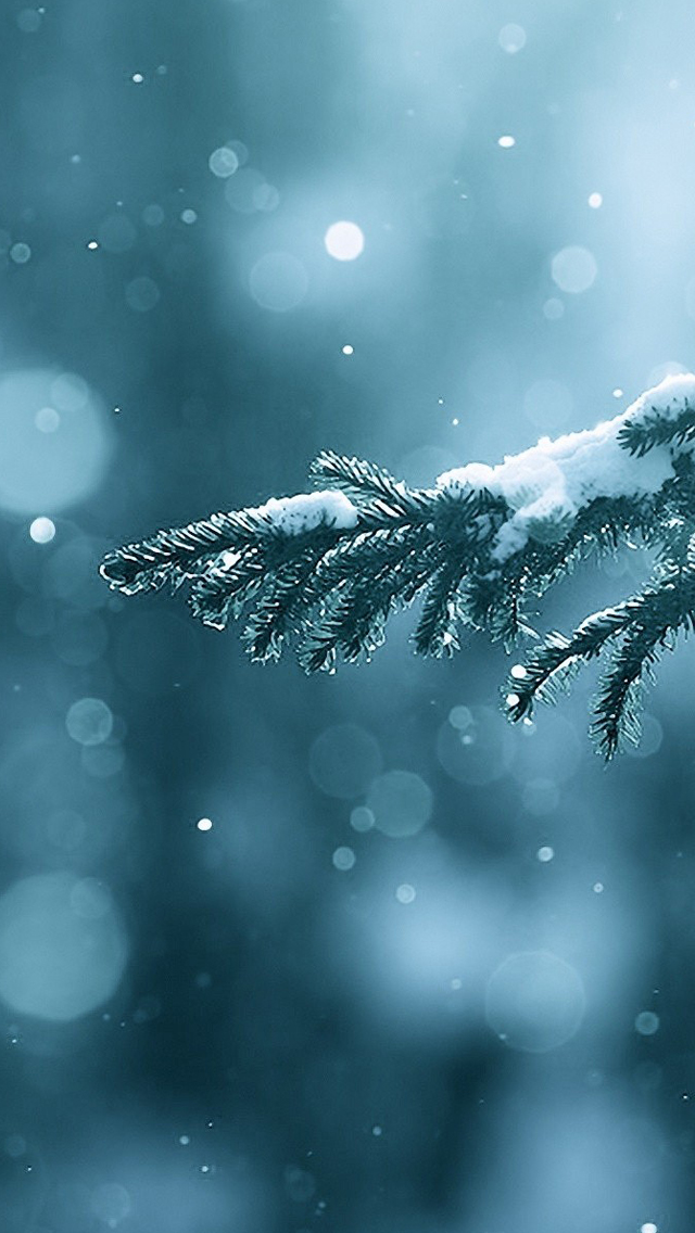 Winter Season Snow Trees Lens Flare Iphone Wallpaper - Iphone Wallpaper Winter Season - HD Wallpaper 