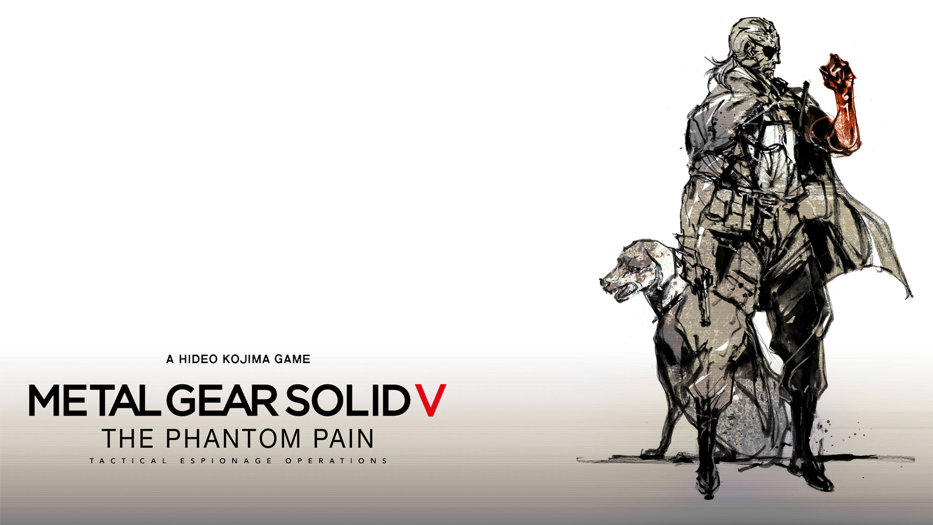Metal Gear Solid 5 Background - HD Wallpaper 