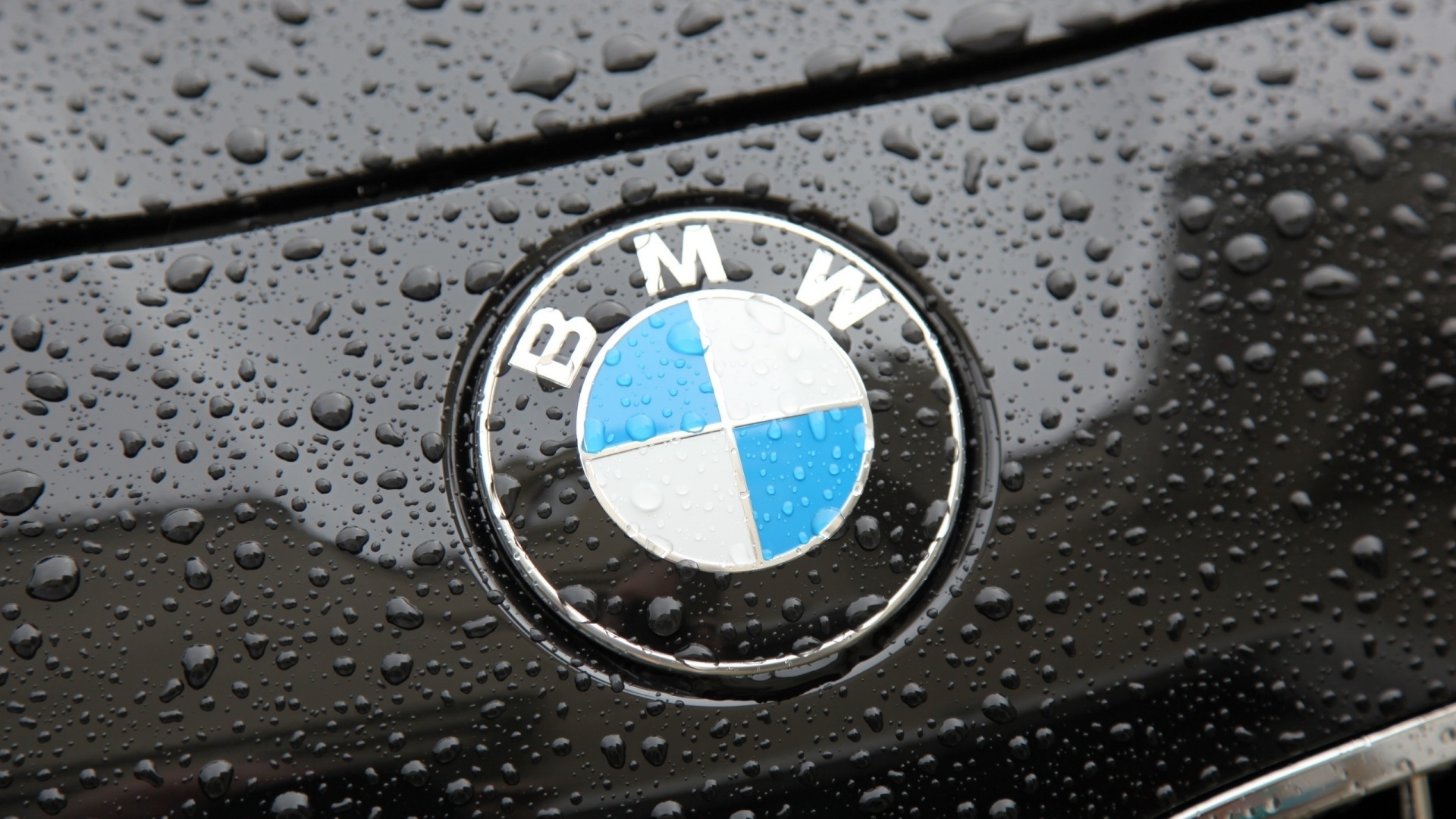 Bmw Logo Widescreen Wallpaper - Bmw Logo On Car - HD Wallpaper 