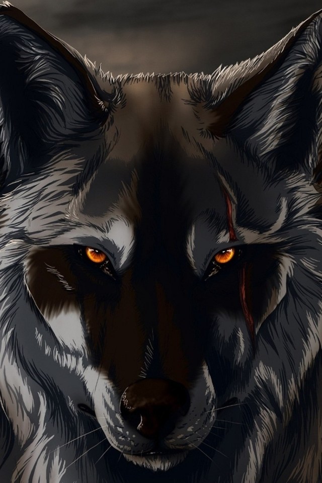 Black Wolf 3d Wallpapers For Iphone - Dark Wolf Wallpaper For Mobile -  640x960 Wallpaper 