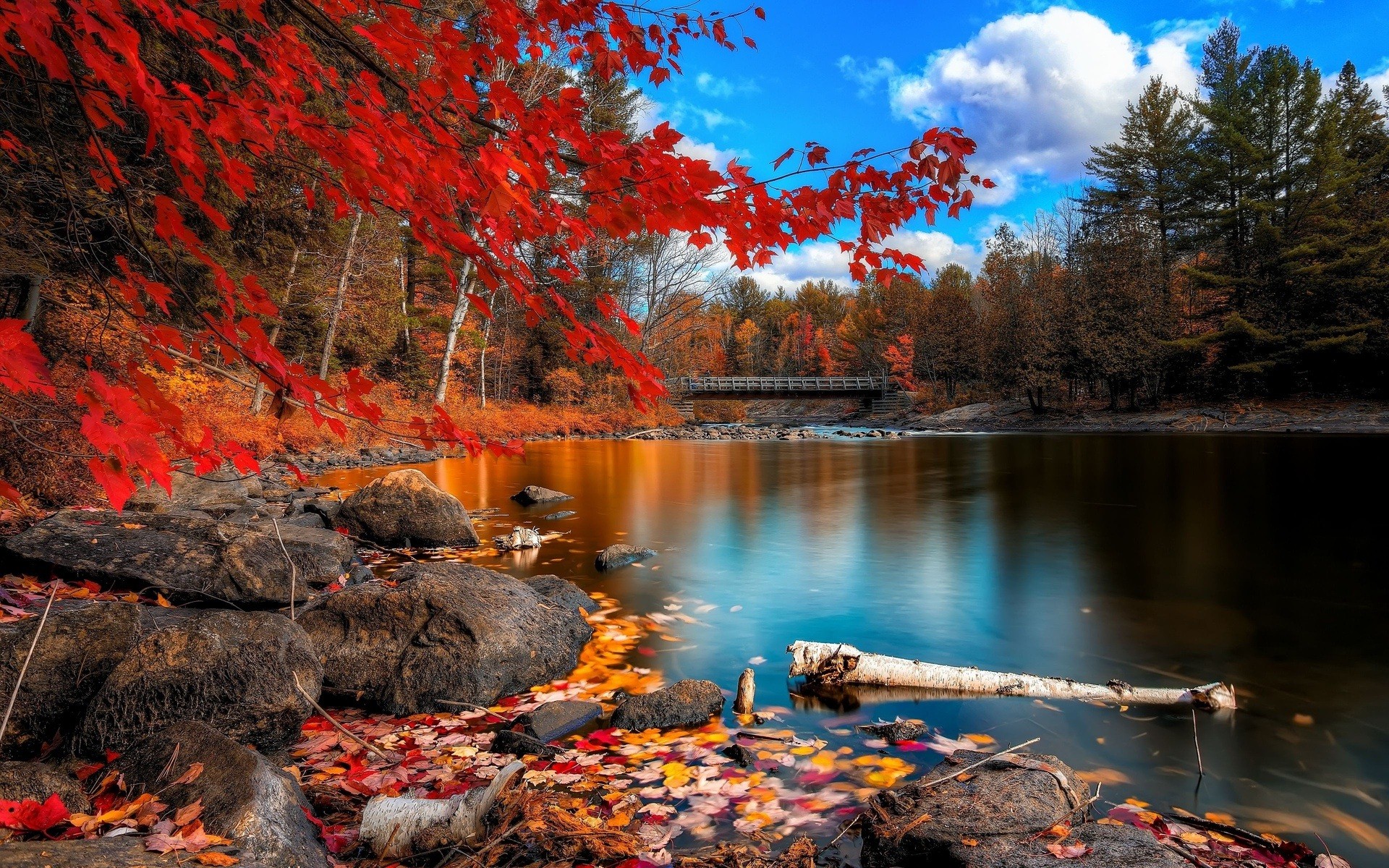 Beautiful Nature Background Wallpapers - Fall Computer Backgrounds - HD Wallpaper 
