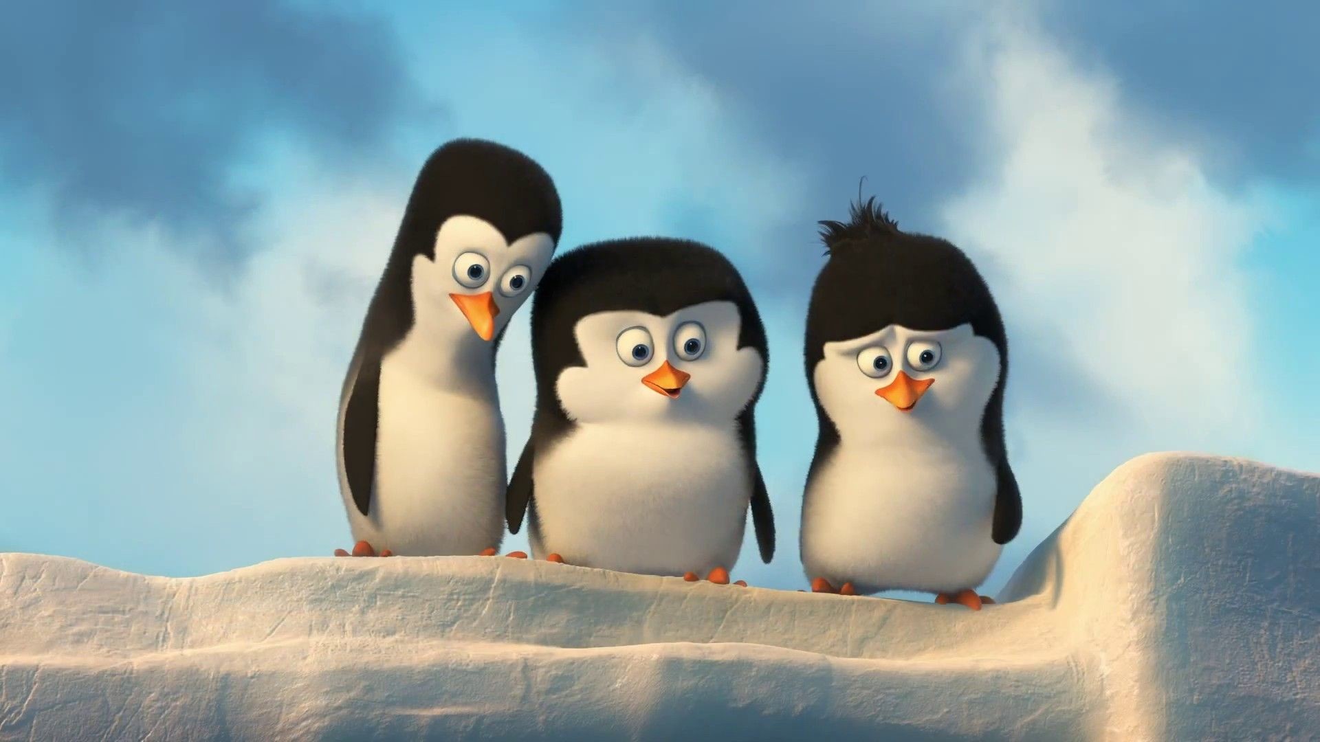 1920x1080, Animals Wallpaper - Penguin Of Madagascar Wallpaper Hd - HD Wallpaper 